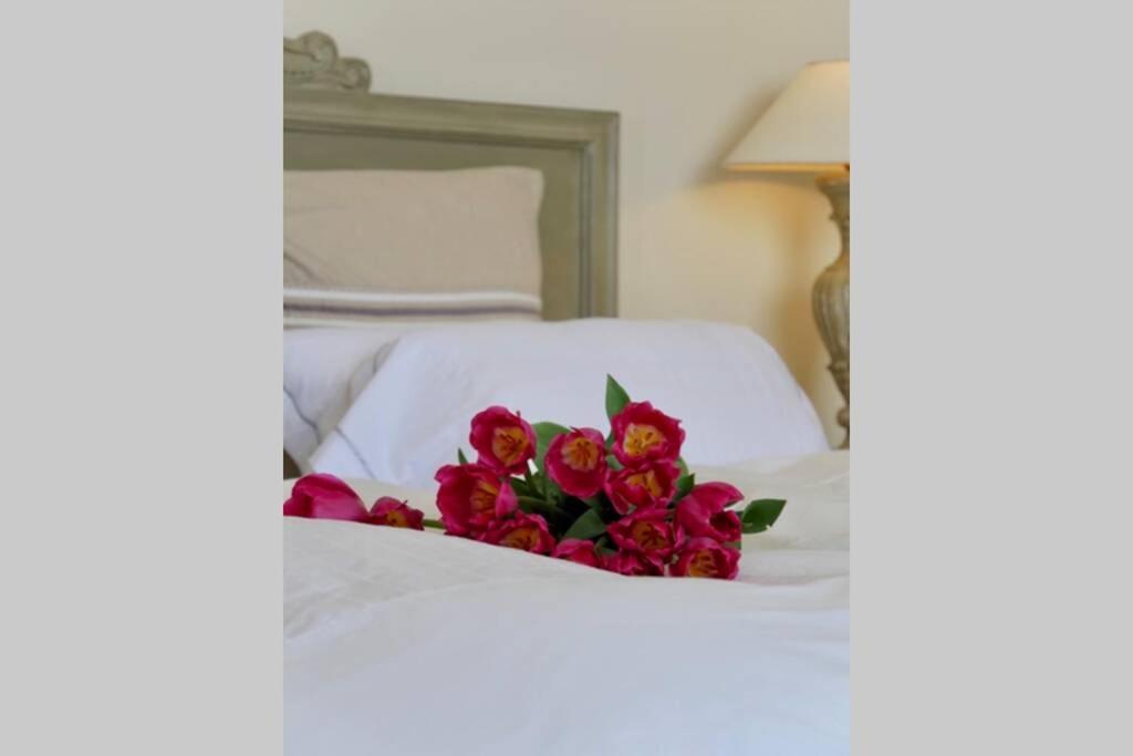 Bord De Mer - Ac, Wifi, Chic, Sea View, Beach 2 Minutes Walk Antibes Exterior foto
